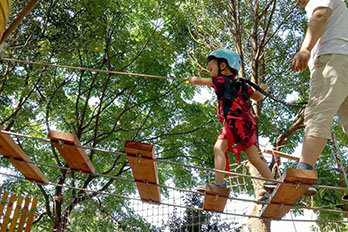 湖南普罗旺斯幼儿园树上探险项目
